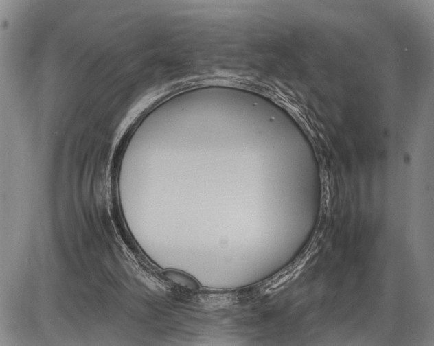 X0000087050102200705091145