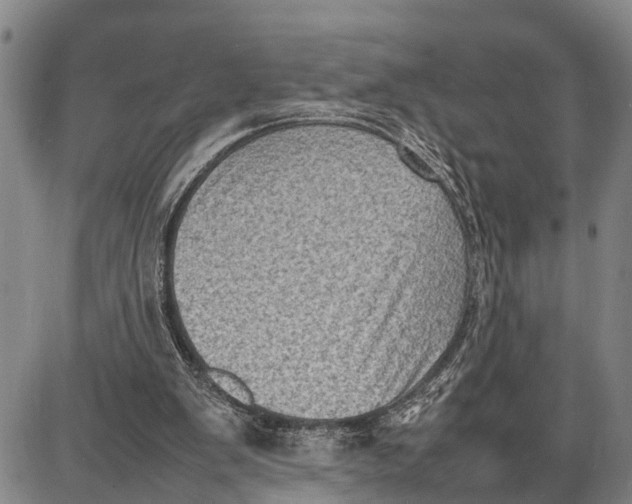 X0000087050103200705091145