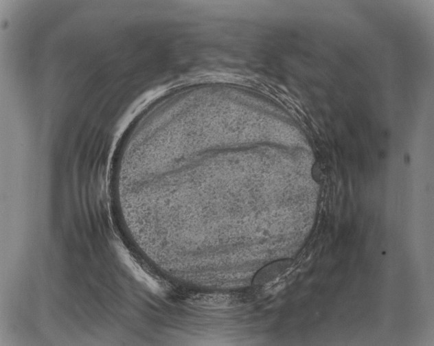 X0000087050104200705091145