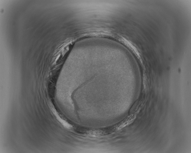 X0000087050105200705091145