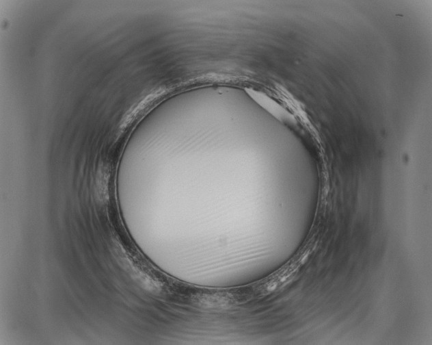 X0000087050106200705091145