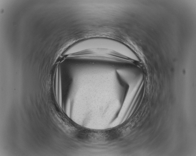 X0000087050107200705091145