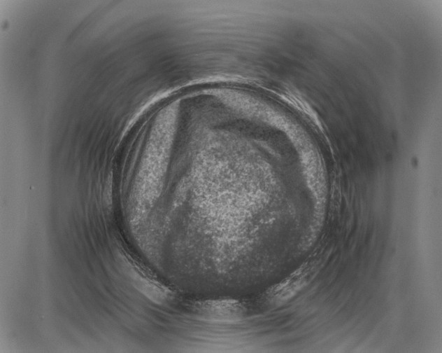 X0000087050108200705091145