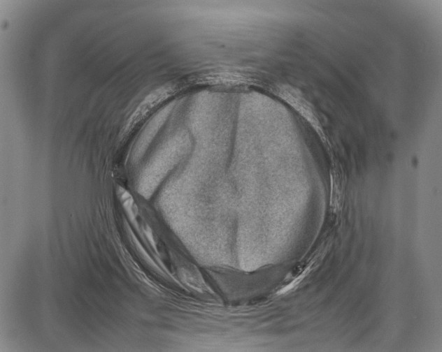 X0000087050109200705091145