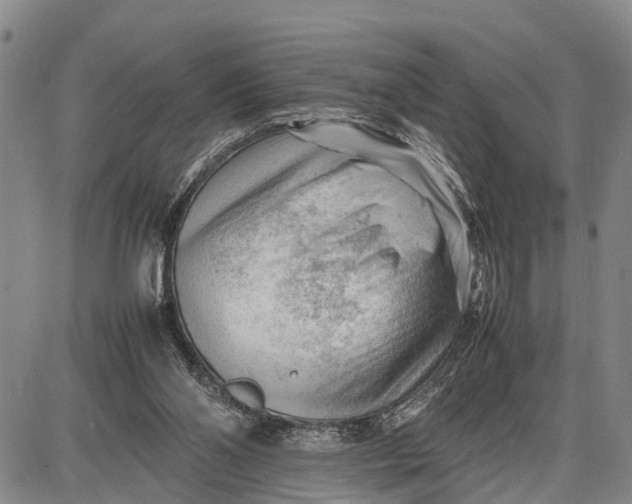 X0000087050110200705091145