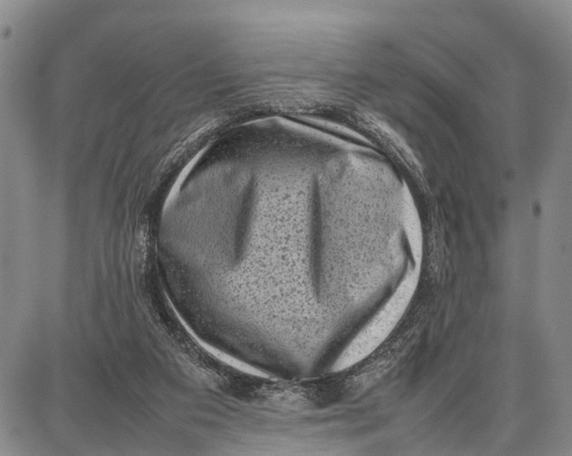 X0000087050113200705091145