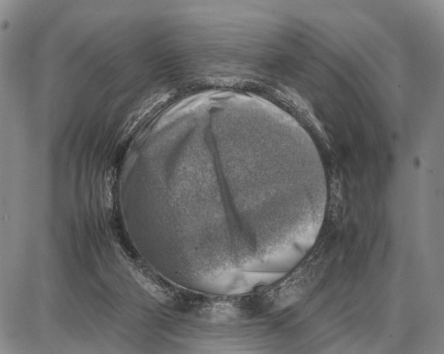 X0000087050114200705091145