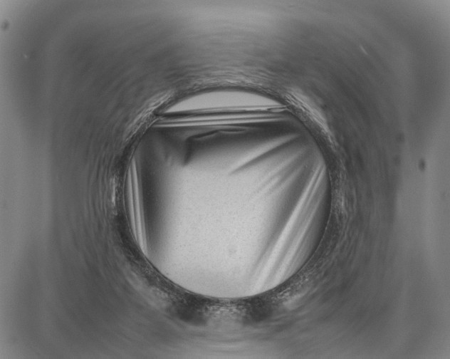 X0000087050115200705091145