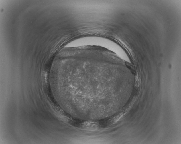 X0000087050117200705091145