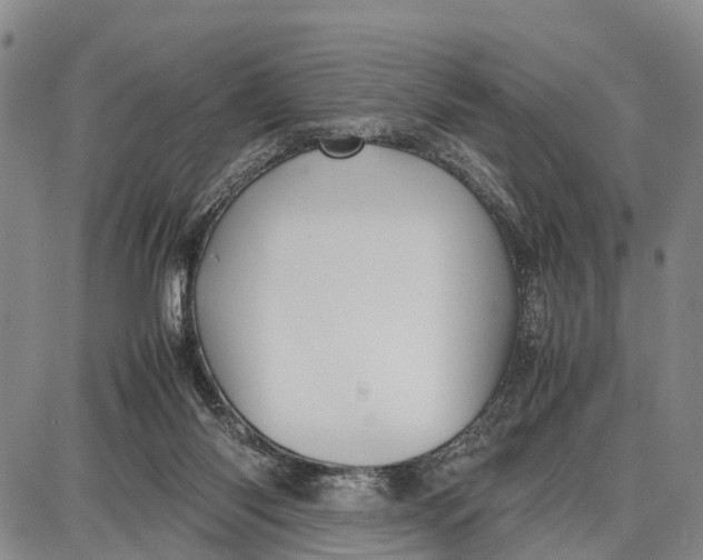 X0000087050118200705091145