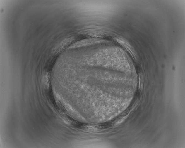 X0000087050121200705091145