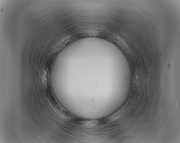 X0000087050122200705091145