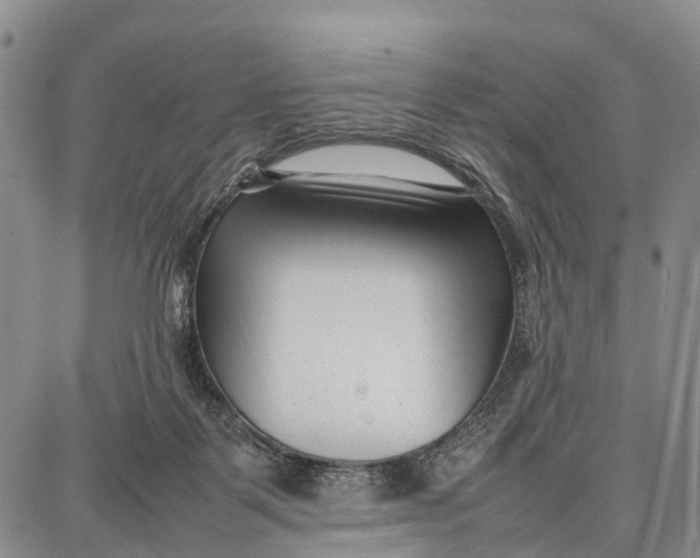 X0000087050123200705091145