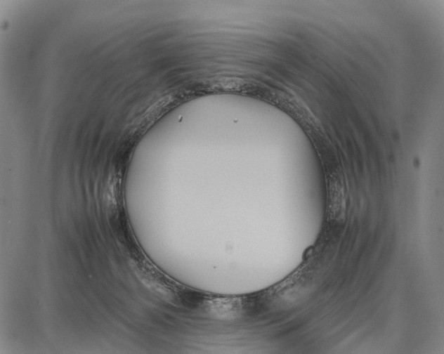 X0000087050126200705091145