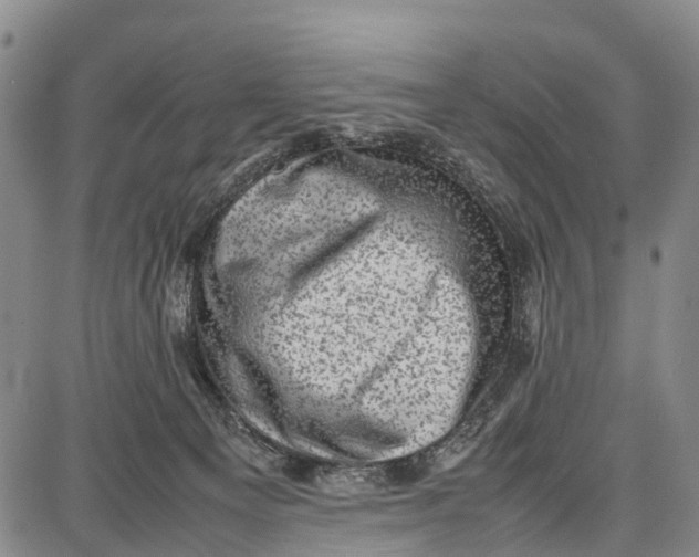 X0000087050129200705091145