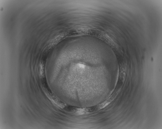 X0000087050130200705091145