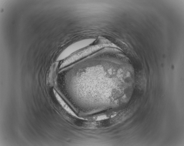 X0000087050131200705091145