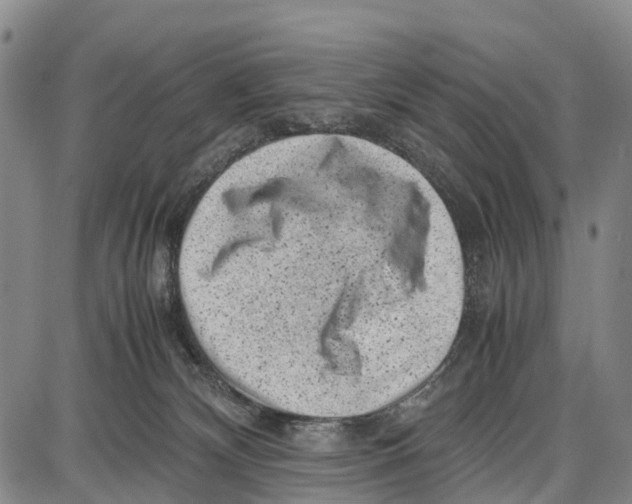 X0000087050132200705091145