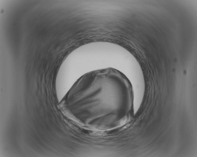 X0000087050133200705091145