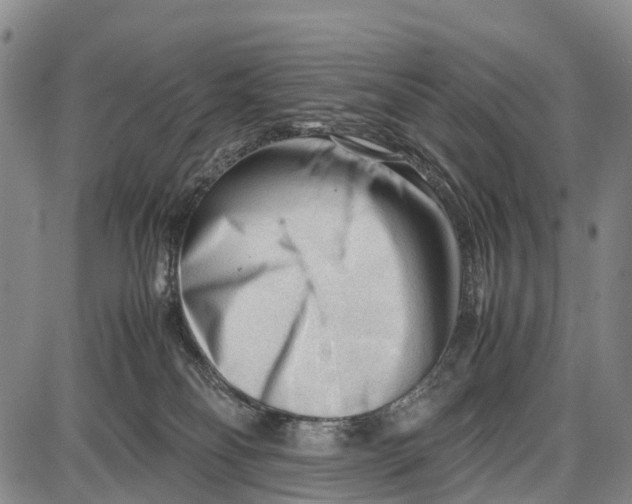 X0000087050134200705091145