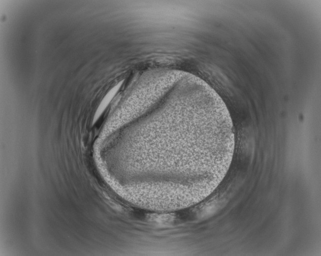 X0000087050135200705091145