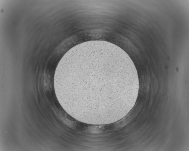 X0000087050136200705091145