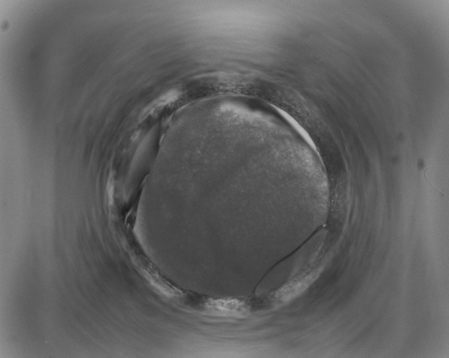 X0000087050137200705091145