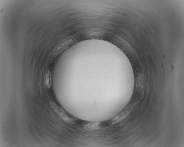 X0000087050138200705091145