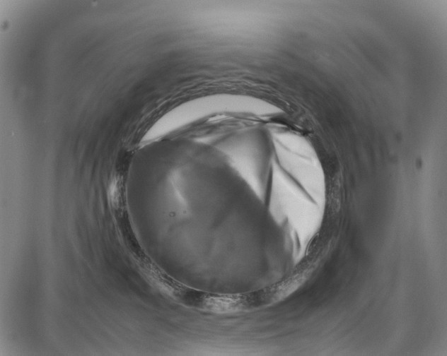 X0000087050139200705091145