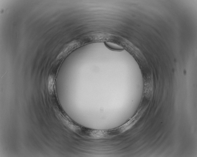 X0000087050142200705091145