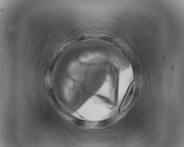 X0000087050143200705091145