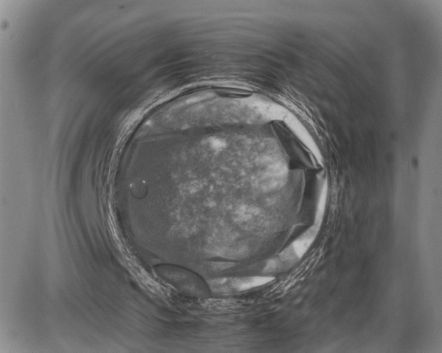 X0000087050145200705091144