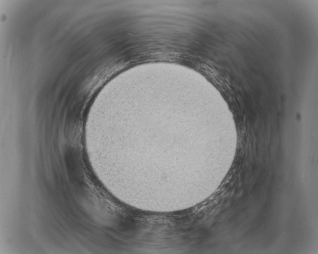 X0000087050146200705091144