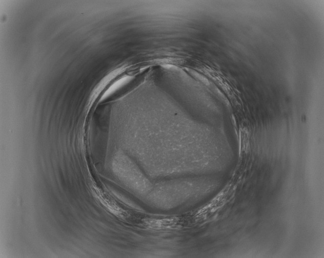 X0000087050147200705091144