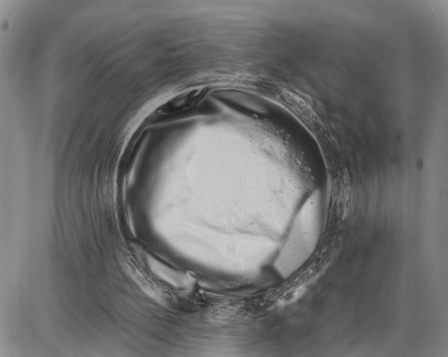 X0000087050148200705091144