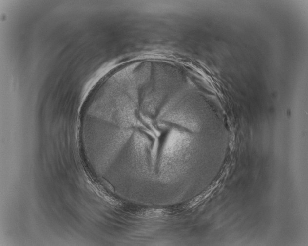 X0000087050152200705091144