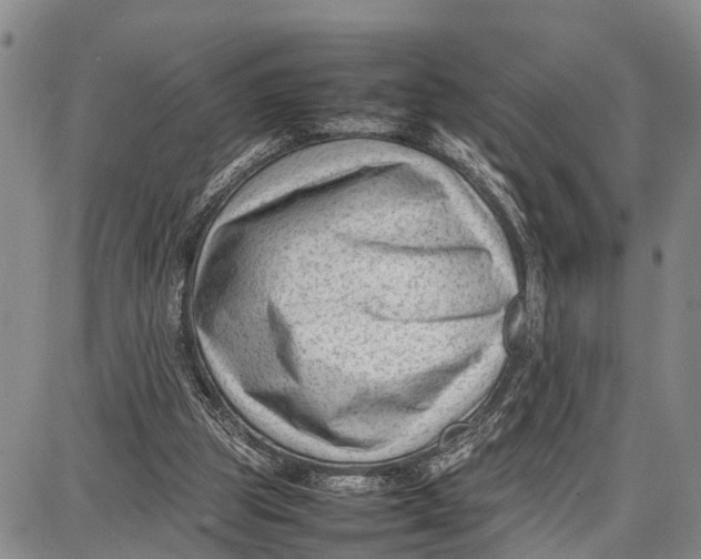 X0000087050153200705091144