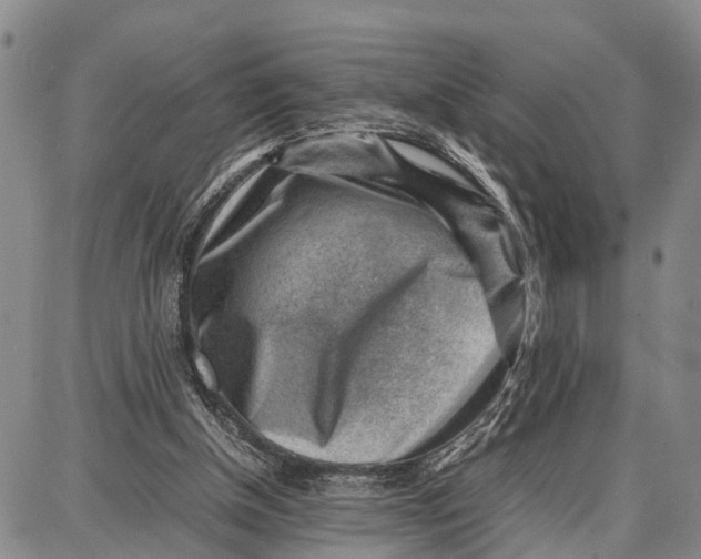 X0000087050154200705091144