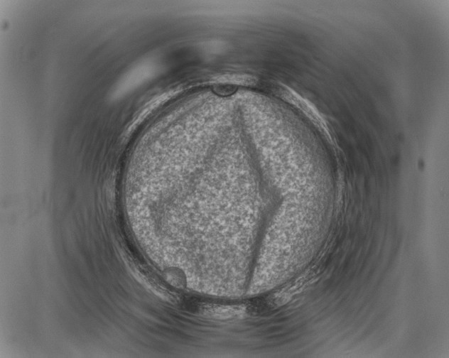 X0000087050155200705091144