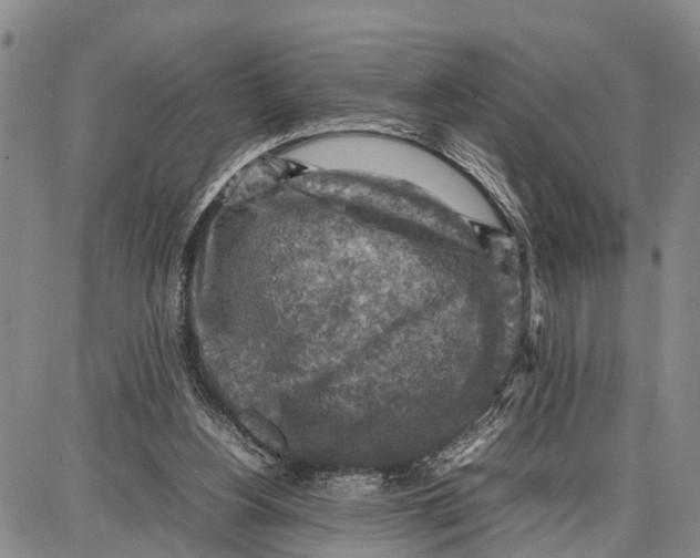 X0000087050156200705091144