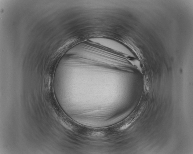 X0000087050157200705091144