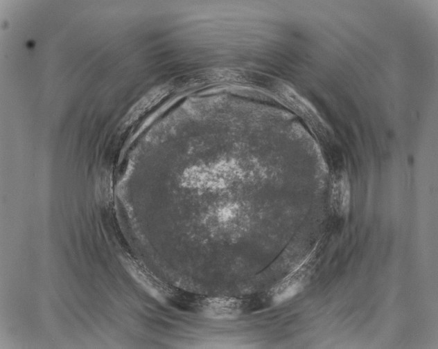 X0000087050158200705091144