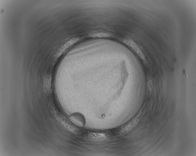 X0000087050159200705091144