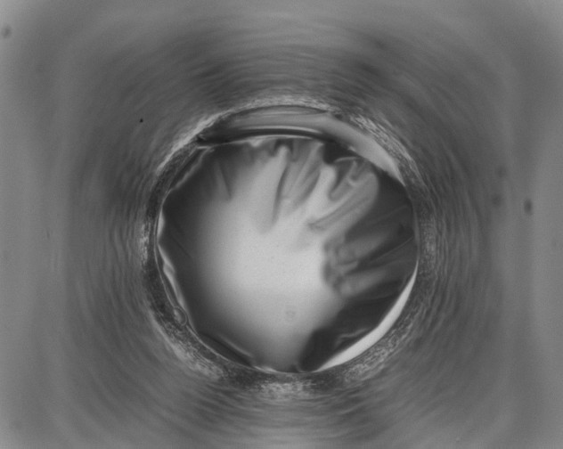 X0000087050160200705091144