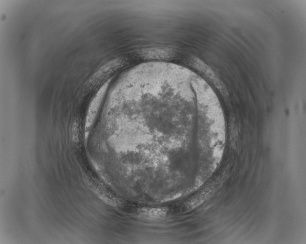 X0000087050161200705091144