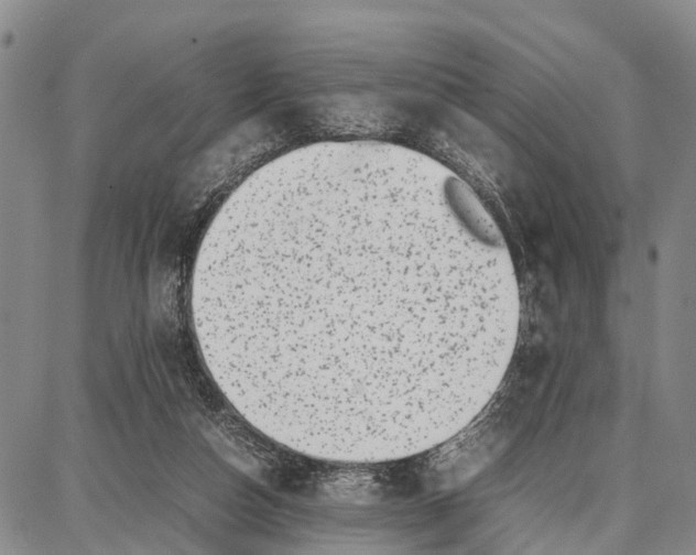 X0000087050162200705091144