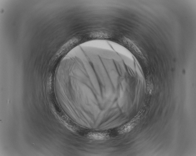 X0000087050163200705091144