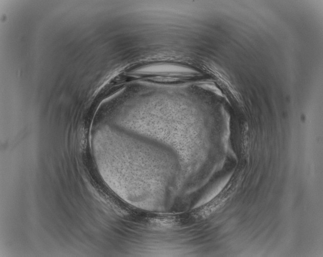 X0000087050164200705091144