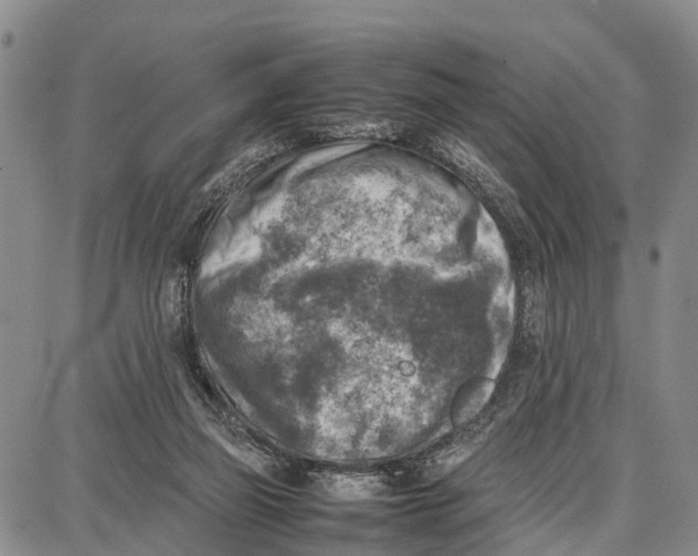 X0000087050165200705091144