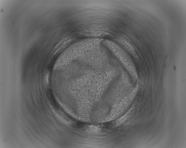 X0000087050166200705091144